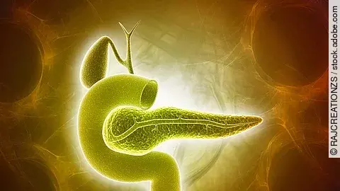 3D-Illustration: Bauchspeicheldrüse