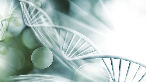 DNA-Doppelhelix Illustration: DNA-Strang, Doppelhelix