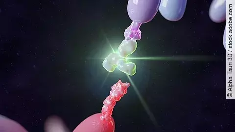 Therapeutische Antikörper 