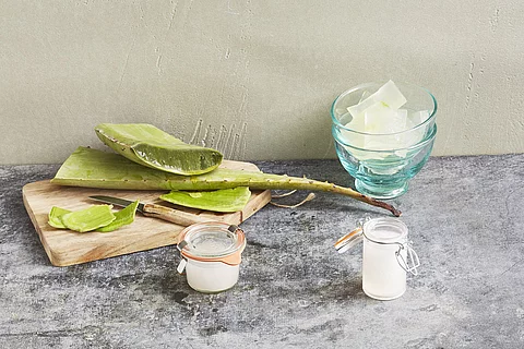 Aloe vera aufgeschnitten auf einem Holzbrett.