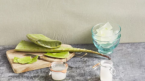 Aloe vera aufgeschnitten auf einem Holzbrett.