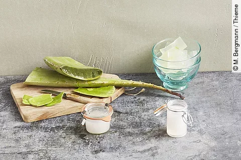 Aloe vera aufgeschnitten auf einem Holzbrett.