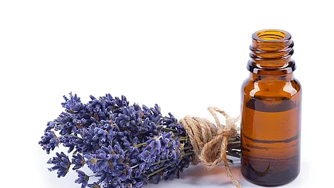 Lavendel, Blüte, Lavendelöl, Braunflasche