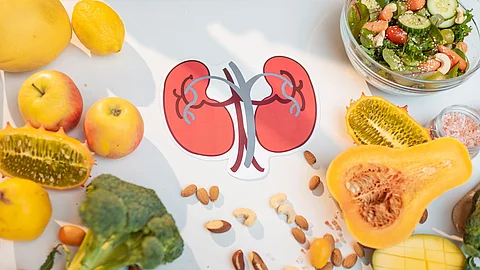 Richtige Ernährung bei Nieren Insuffizienz Eine Zeichnung von menschlichen Nieren liegt zwischen Gemüse auf einem Tisch.