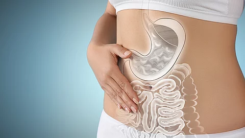 Eine Frau hat die Hand auf den Bauch gelegt. Schematisch ist der Verdauungstrakt über das Foto gezeichnet. 