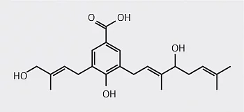 Druck