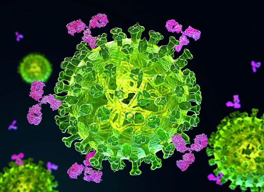 Coronavirus