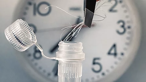 Probenröhrchen, das vor einer Uhr steht. Darüber eine Pinzette, die etwa ein Dutzend Haare greift.