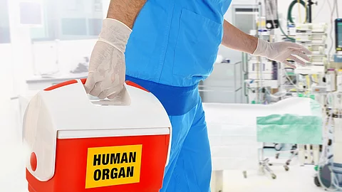 Arzt bringt Organspende in OP für Organtransplantation.
