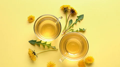 entgiftende Teemischung mit Heilpflanzen u.a. Löwenzahn