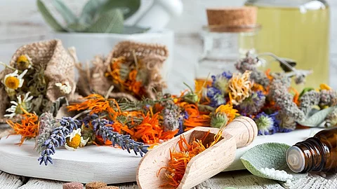 Getrocknete Pflanzen und Tabletten schön angerichtet auf einem Tisch.