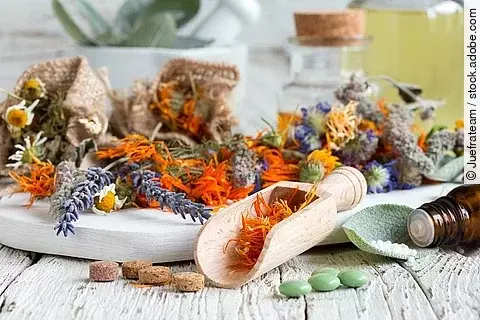 Getrocknete Pflanzen und Tabletten schön angerichtet auf einem Tisch.