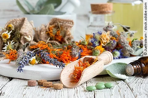 Getrocknete Pflanzen und Tabletten schön angerichtet auf einem Tisch.