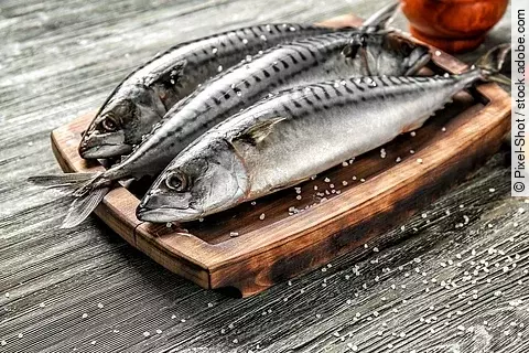 Board with tasty raw mackerel fish on wooden table Frische Makrelen auf einem Holzbrett