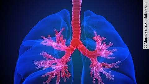 Lunge mit sichtbaren Bronchien, Illustration