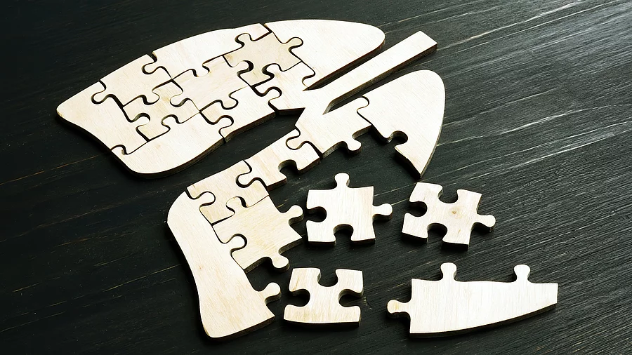 Puzzle in Lungenform