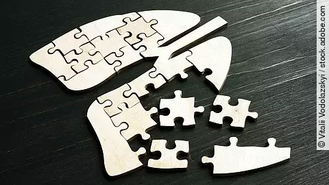 Puzzle in Lungenform