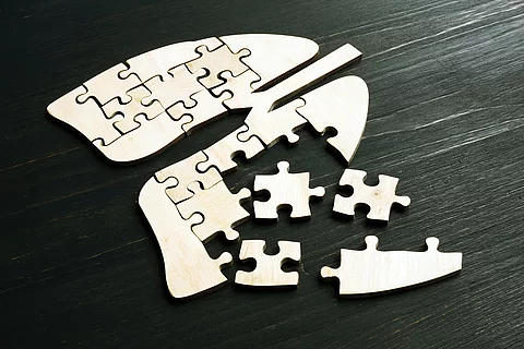 Puzzle in Lungenform. Symbolbild für Lungenerkrankung