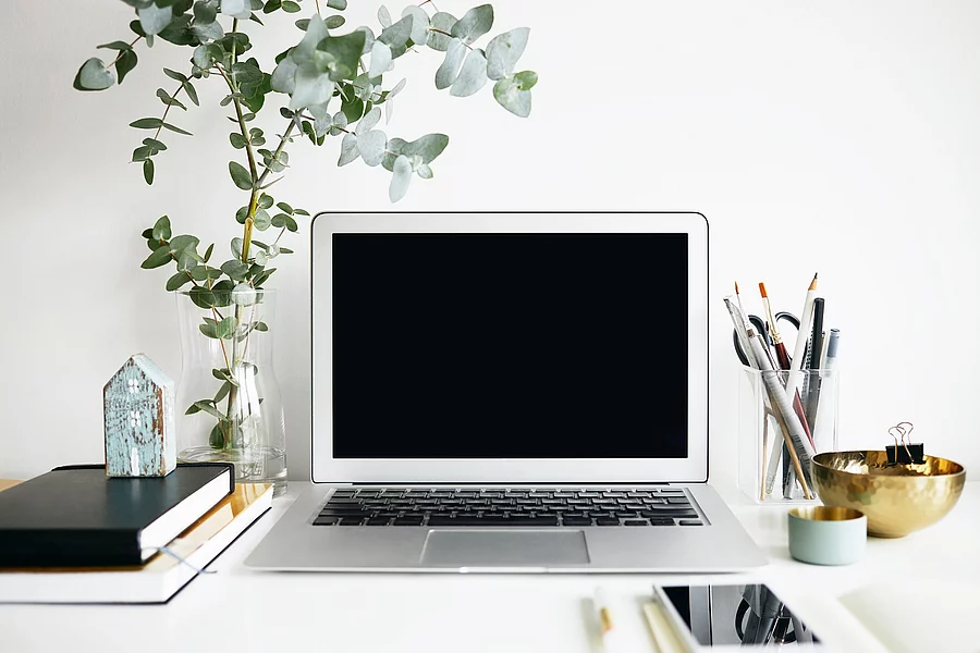Close up minimalist shot of generic laptop computer and working accessories resting on white table. Workplace of unknown freelancer or student. Electronic gadgets, communication and networking Arbeitsplatz mit Laptop, Grünpflanze, Stiftebehälter; minimalistische nordische Gestaltung