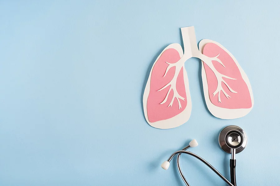 Lungs paper decorative model with medical stethoscope on light b rosa Lunge aus Papier neben Stethoskop auf blauem Hintergrund
