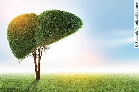 Baum mit Baumkrone in Form einer Leber 