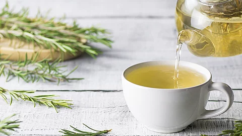 Teekanne und Teetasse, dekoriert mit frischen Teezweigen