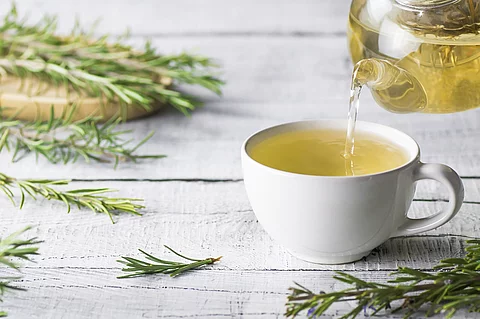 Teekanne und Teetasse, dekoriert mit frischen Teezweigen