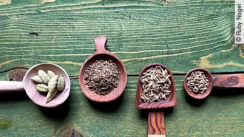 Kümmel, Anis, Fenchel, Kardamom auf Holzlöffeln