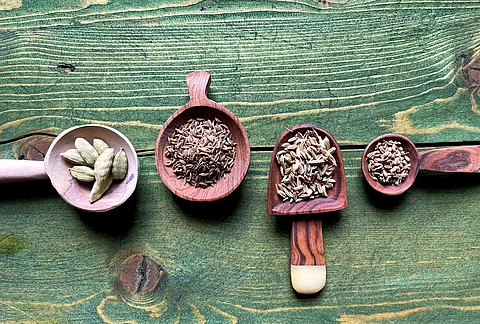 Kümmel, Anis, Fenchel, Kardamom auf Holzlöffeln