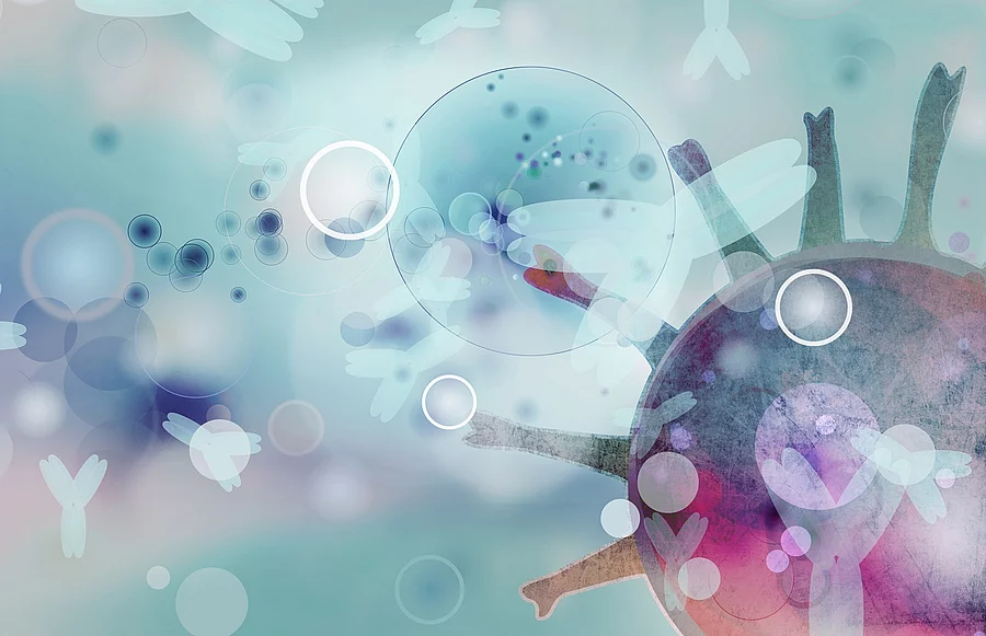 Grafik: Coronavirus, Viruszellen, Antikörper
