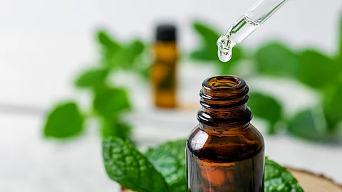 Ätherisches Pfefferminzöl in Braunfläschchen, frische Pfefferminzzweige