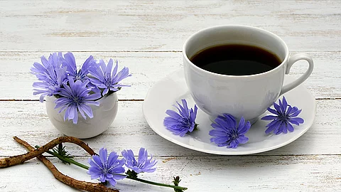 Kaffeetasse mit Kaffee, daneben Wegwartenwurzel und Wegwartenblüten