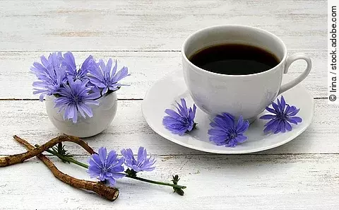 Kaffeetasse mit Kaffee, daneben Wegwartenwurzel und Wegwartenblüten