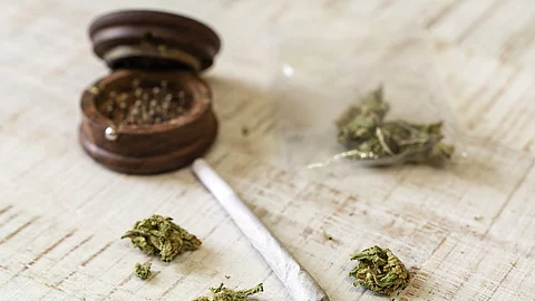 Cannabisblüten und ein gedrehter Joint auf weißem Holzhintergrund