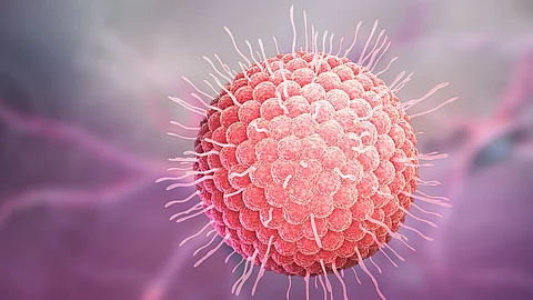 Illustration: Varizella-zoster-Virus