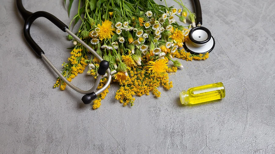 Stethoskop und ein Strauß mit blühenden Heilpflanzen auf grauem Untergrund