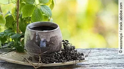 Jiaogulanpflanze und Teetasse mit getrocknetem Kraut