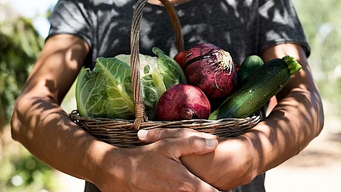 young man with a basket full of vegetables Mann mit Korb voll Gemüse