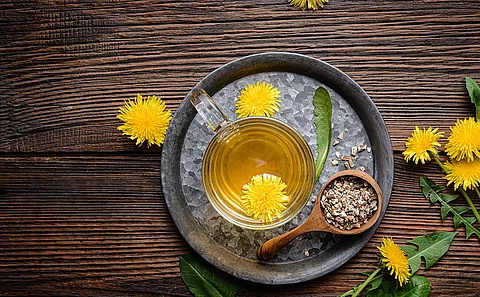 Tee für die Darmflora mit Heilpflanzen wie Löwenzahn