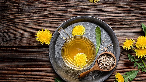 Tee für die Darmflora mit Heilpflanzen wie Löwenzahn