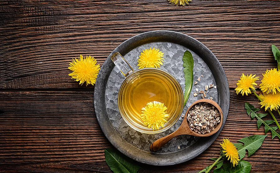 Tee für die Darmflora mit Heilpflanzen wie Löwenzahn