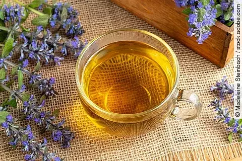 kriechender Günsel neben einemTteeglas