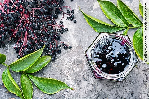 Holunderbeeren auf grauem Untergrund