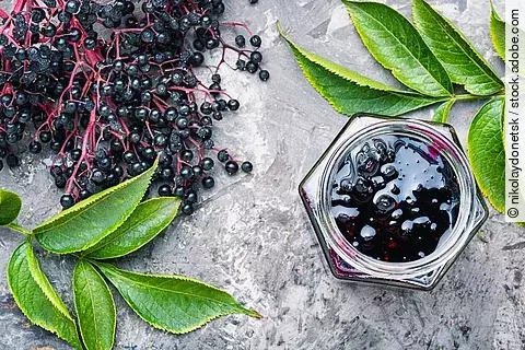 Holunderbeeren auf grauem Untergrund