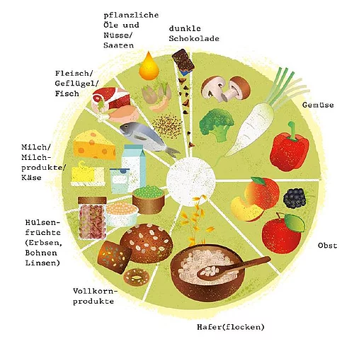 Illustration des Haferkreises
