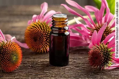 Echinaceablüten und Braunfläschchen auf Holz; Echinacea, Braunfläschchen, Naturheilkunde