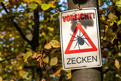 Warnschild vor Zecken im Wald