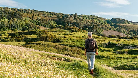 elderly woman doing low intensity exercise, walking through a field with flowers at sunset. active senior person. Ältere Frau spaziert auf einem Feldweg
