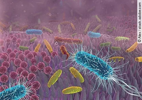 3D-Illustration des Darmmikrobioms.