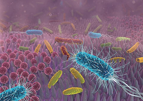 3D-Illustration des Darmmikrobioms.